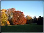 foto Parco Karlsaue in Autunno